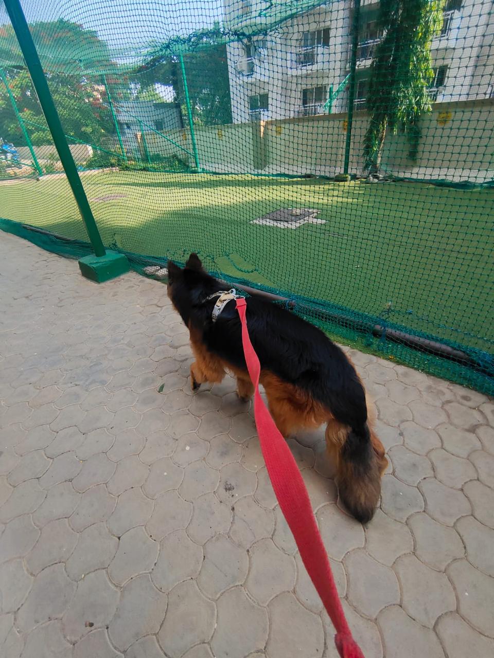 Sandhya Nayak's pet